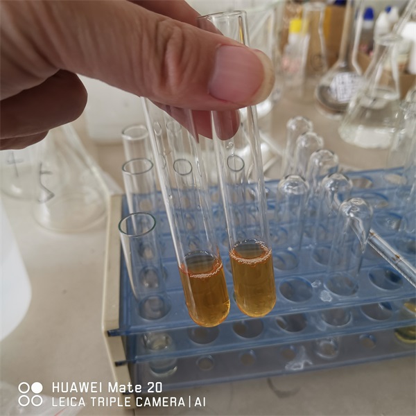 ȫ���yԇ�ɫ����